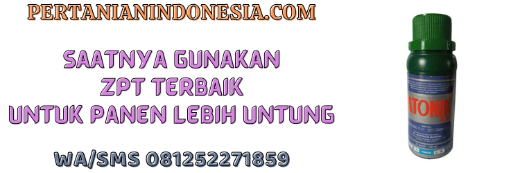 jual,murah,terjangkau,toko pertanian terdekat,pertanian indonesia
